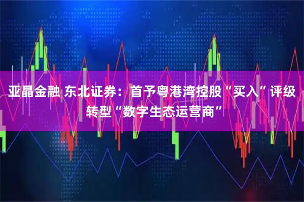 亚晶金融 东北证券：首予粤港湾控股“买入”评级 转型“数字生态运营商”